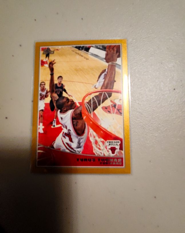2009-10 Topps Gold #39 Tyrus Thomas — front