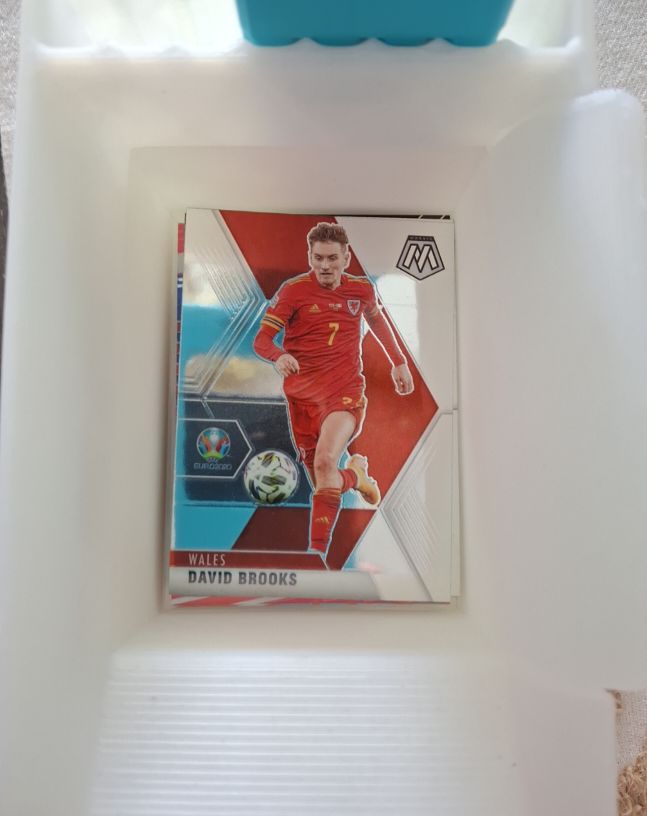 2021 Panini Mosaic UEFA Euro David Brooks — front