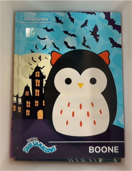 2025 Panini Squishmallows Halloween #13 Boone — front