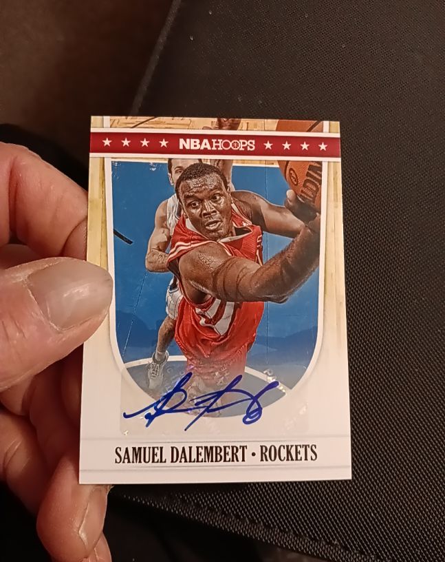 2011-12 Panini NBA Hoops #207 Samuel Dalembert — front