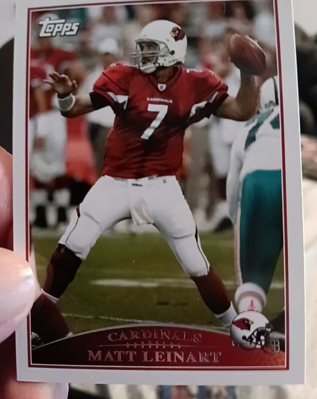 2009 Topps #120 Matt Leinart — front