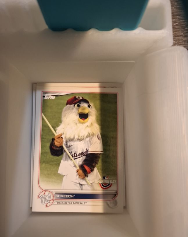 2022 Topps Opening Day #M-24 Screech Washington Nationals — front