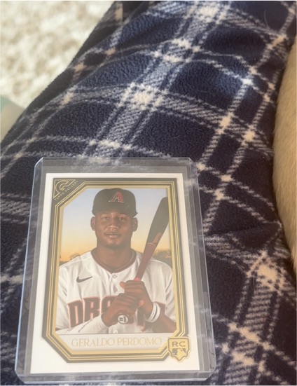 2021 Topps Gallery #49 Geraldo Perdomo RC — front