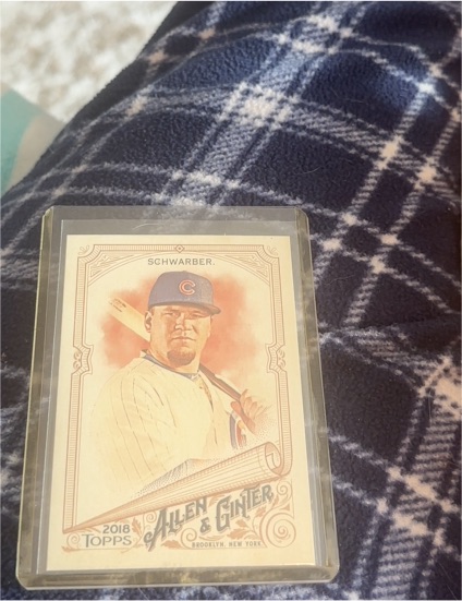 2018 Topps Allen & Ginter #249 Kyle Schwarber — front