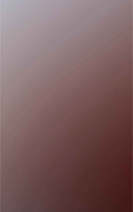 Hasegawa Trytool TF22 Clear Red Finish 90mm x 200mm — front