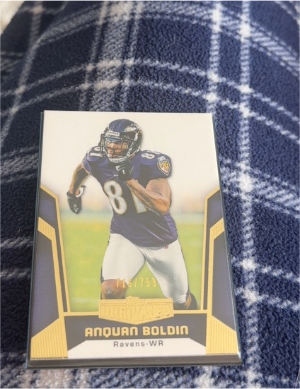 2019 Panini Rookies and Stars #116 Anquan Boldin — front