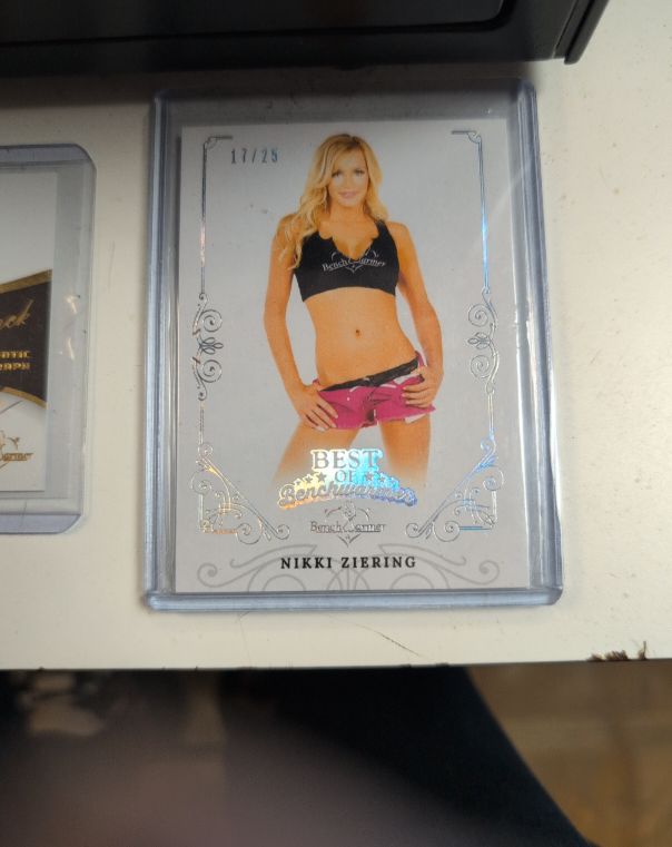 2022 Benchwarmer Best of Benchwarmer #17/25 Nikki Ziering — front