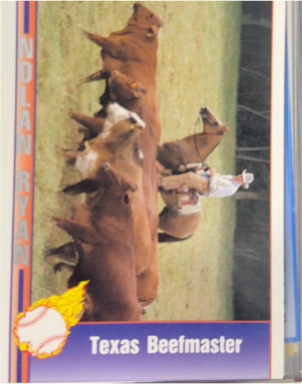 1993 Pacific Texas Express #104 Texas Beefmaster — front