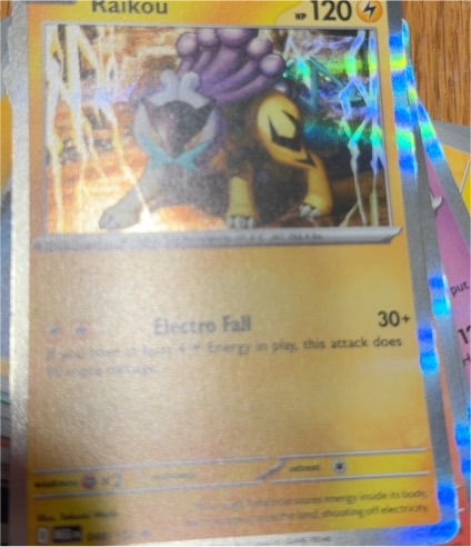 2025 Pokémon Mega Evolution #048 Raikou — front