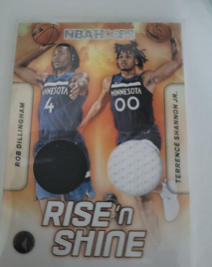 2024-25 Panini NBA Hoops #RSD-RTT Rob Dillingham / Terrence Shannon Jr. — front