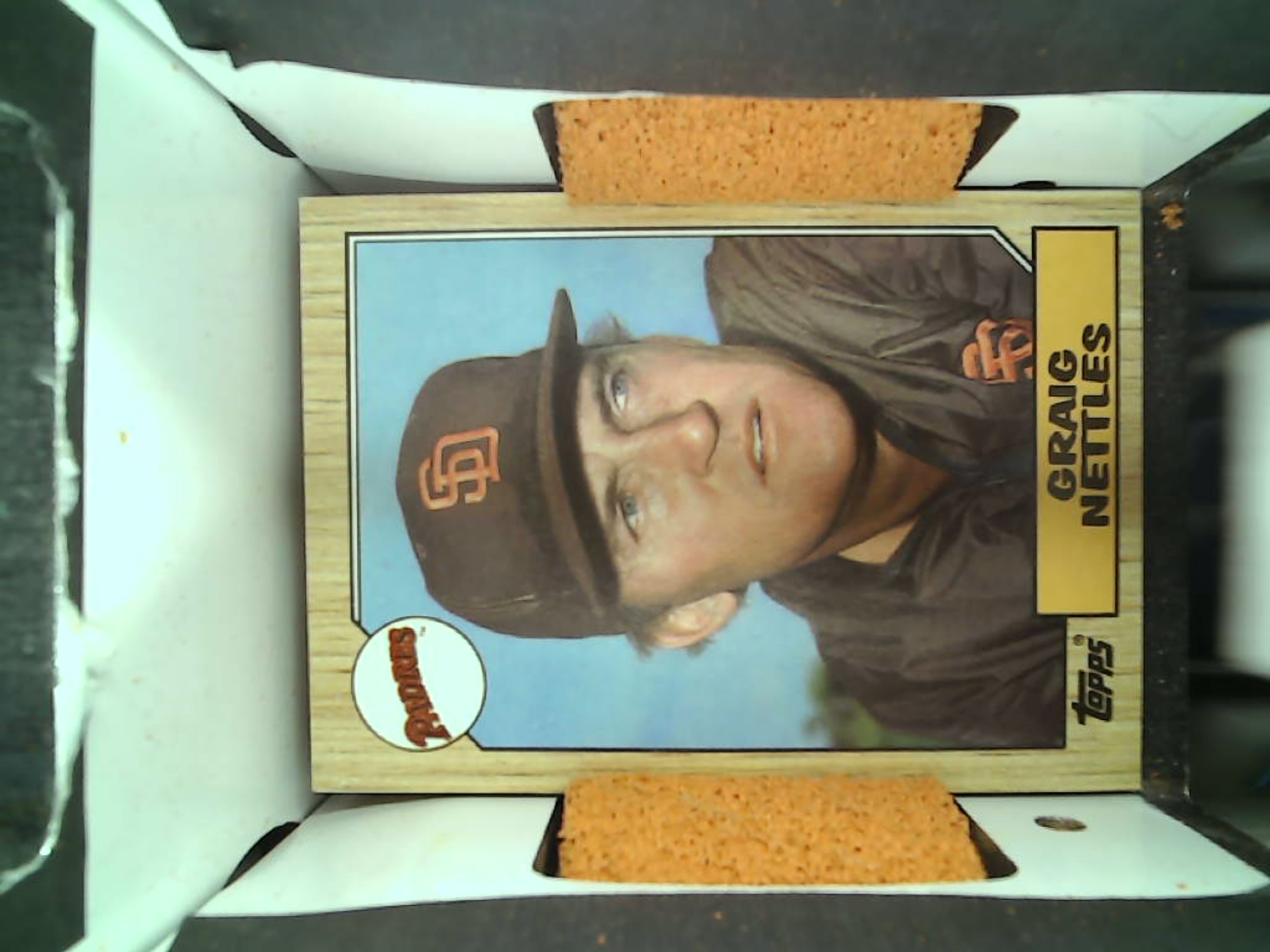 1987 Topps #501 Craig Nettles — front