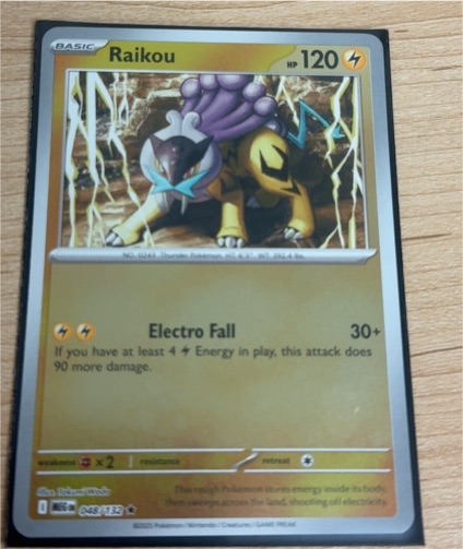 2015 Pokémon Mega Evolution #048 Raikou — front