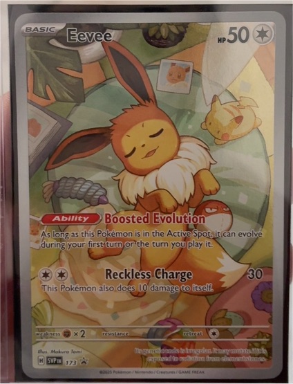 2023 Pokémon SV: Scarlet & Violet Promo #173 Eevee — front