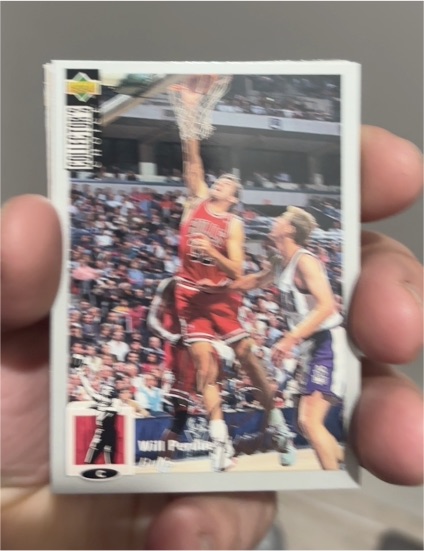 1994-95 Upper Deck Collector's Choice #234 Will Perdue — front