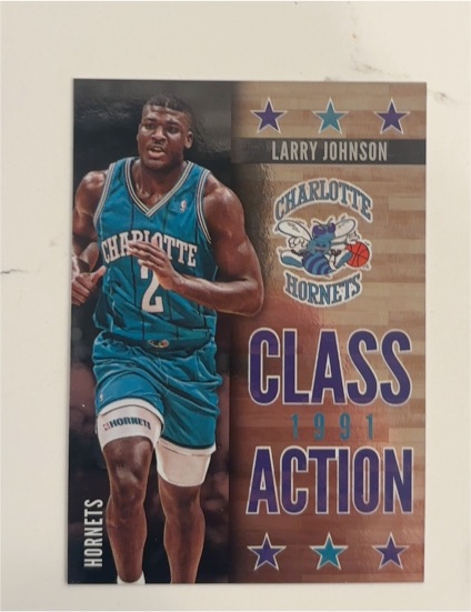 2013-14 Panini Hoops #22 Larry Johnson Class Action — front