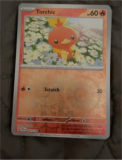 2025 Pokémon Journey Together #022 Torchic — front