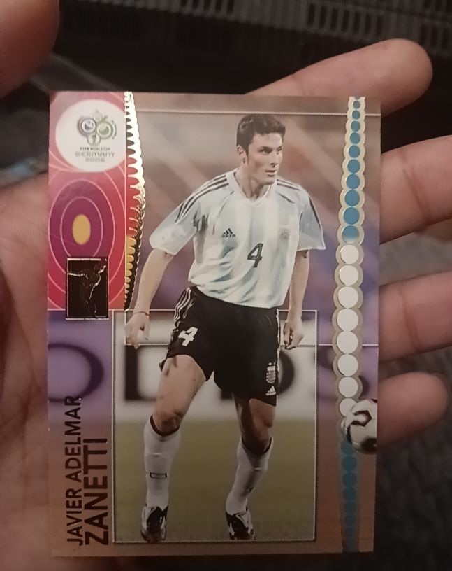 2006 Panini World Cup #40 Javier Adelmar Zanetti — front