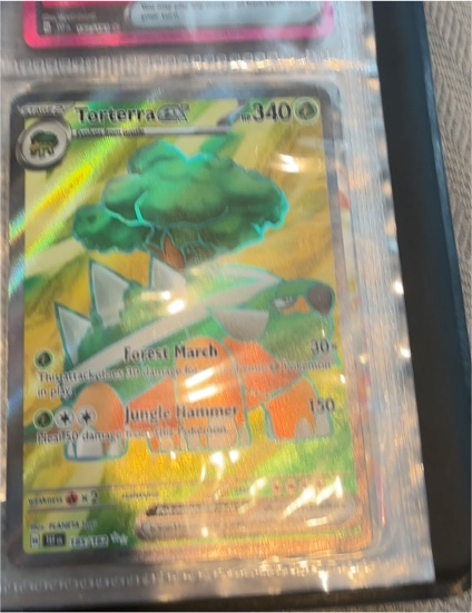 2024 Pokemon TCG Torterra EX #185/162 Temporal Forces — front