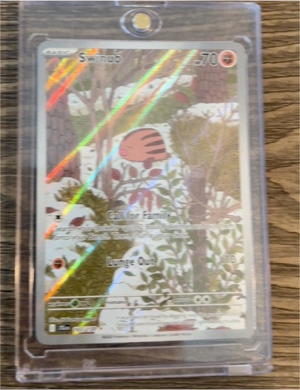 2025 Pokémon Journey Together #165/159 Swinub — front