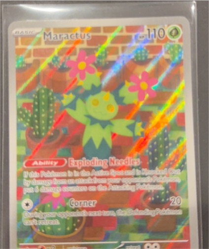 2025 Pokemon Scarlet & Violet Journey Together #160 Maractus Illustration Rare Holo — front