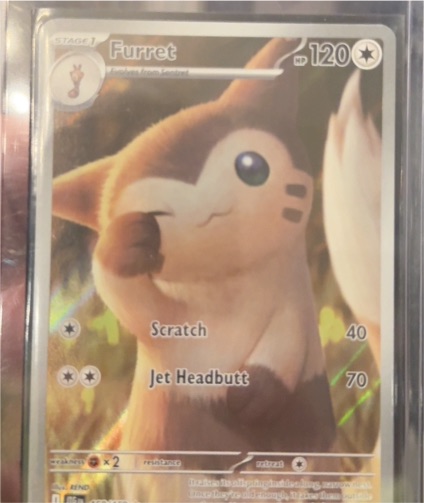 2025 Pokémon Journey Together #168 Furret — front
