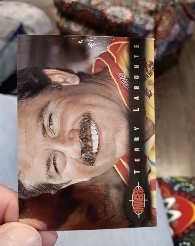 1995 Images #42 Terry Labonte — front