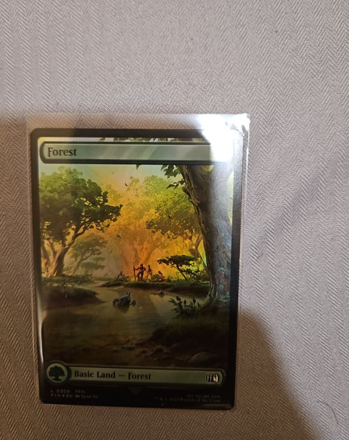 2023 Magic: The Gathering #308 Forest — front