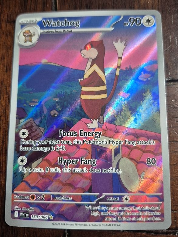 2025 Pokémon SV White Flare #153 Watchog — front