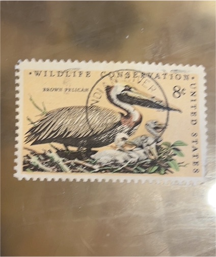 1972 United States Scott #1466 Brown Pelican 8 Cent Stamp — front