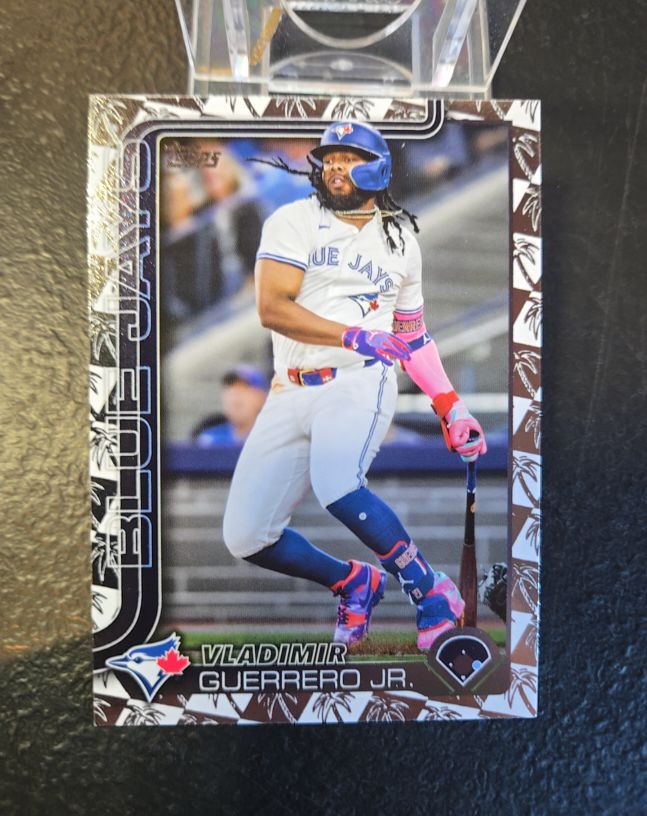 2025 Topps Series 1 #163 Vladimir Guerrero Jr. — front