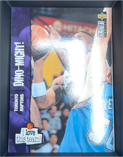 1995 Upper Deck Collector's Choice Dino Radja Toronto Raptors — front