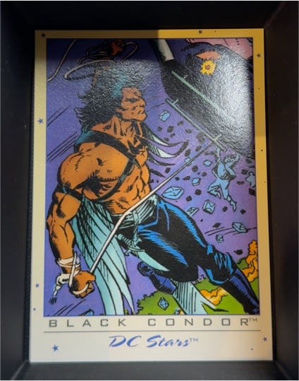1994 Skybox DC Stars #27 Black Condor — front