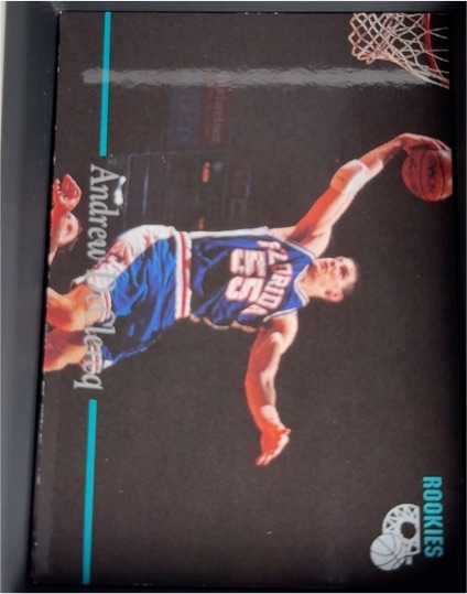 1995 Classic Rookies #32 Andrew DeClercq — front
