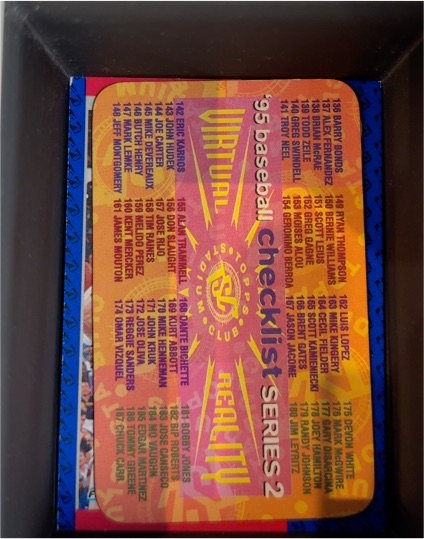 1995 Topps Stadium Club Virtual Reality Checklist Series 2 — front