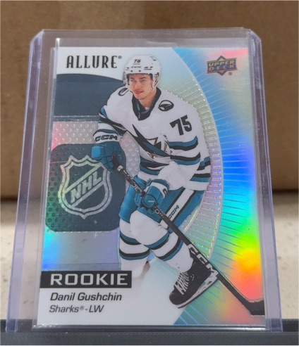 2023-24 Upper Deck Allure #108 Danil Gushchin — front