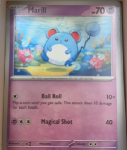 2024 Pokemon Scarlet & Violet SV05: Temporal Forces #64 Marill — front