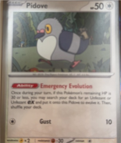 2024 Pokémon SV05: Temporal Forces #133 Pidove — front