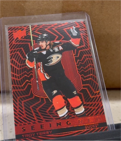 2023-24 Upper Deck Extended Series Seeing Red #SR-86 Troy Terry — front
