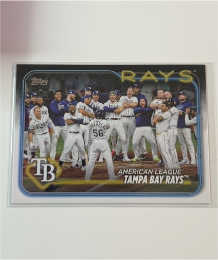 2024 Topps Series 1 #211 Tampa Bay Rays Team Card — front