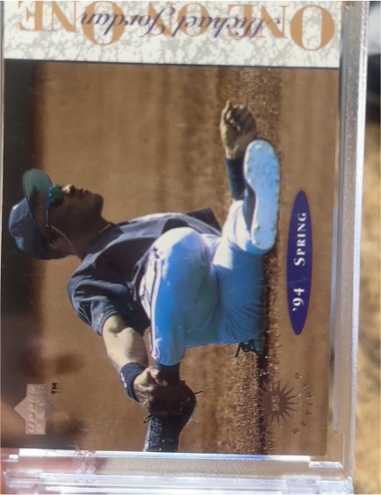 1995 Upper Deck Minor League #6 Michael Jordan — front