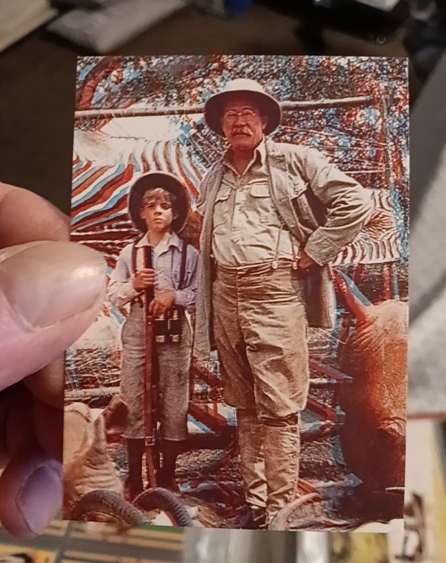 1992 Pro Set The Young Indiana Jones Chronicles 3D #3-D 4 — front