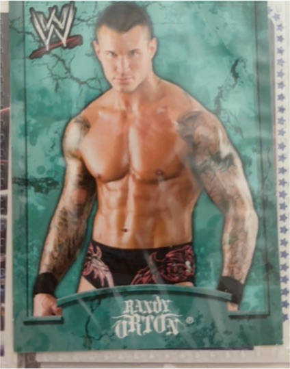 2022 Panini Select WWE #23 Randy Orton — front