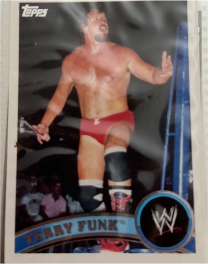 2011 Topps WWE #108 Terry Funk — front