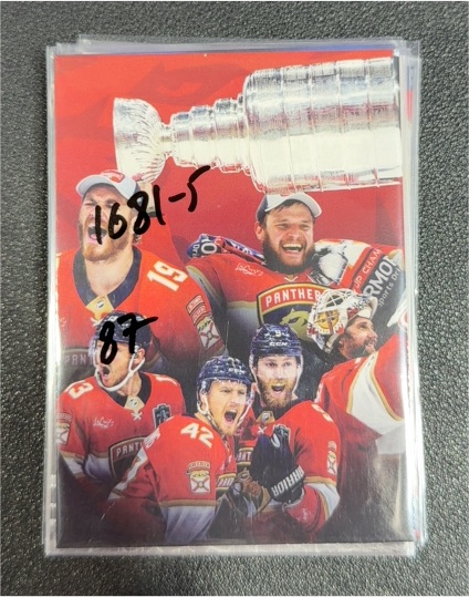 2023-24 Upper Deck Florida Panthers Stanley Cup Champions Team Card — front