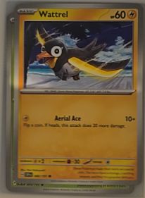 2024 Pokémon SV08: Surging Sparks #66 Wattrel — front