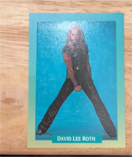 1991 Brockum Rockcards #207 David Lee Roth — front
