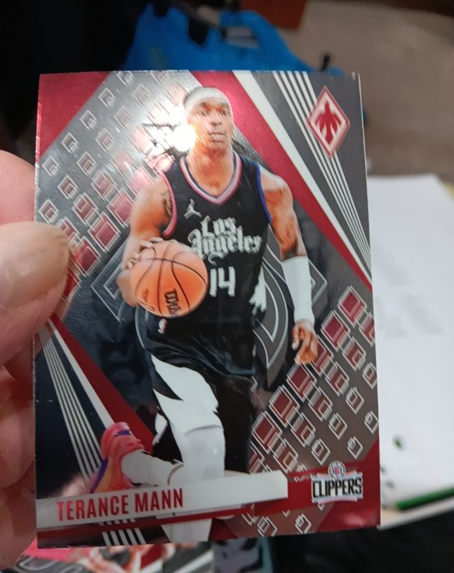 2023-24 Panini Phoenix #247 Terance Mann — front