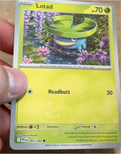 2025 Pokémon Phantasmal Flames #005 Lotad — front