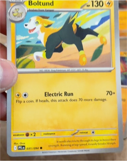 2025 Pokémon ME02 Phantasmal Flames #031 Boltund — front