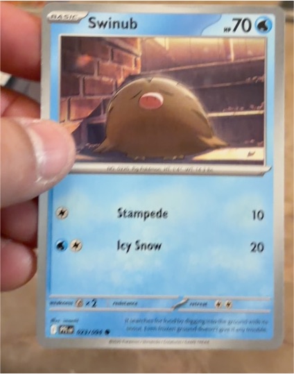 2025 Phantasmal Flames #023 Swinub — front
